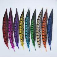 Wholesale 5 pieces / beautiful pheasant feathers 9-11 inches / 23-28 cm DIY clan festival costume / hat decoration