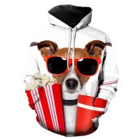 Personality Mans Oversized Hoodie3D Printed Border Collie Sweatshirt Male Sweatshirt Harajuku Autumn Winter Hoodie y2k Clothing