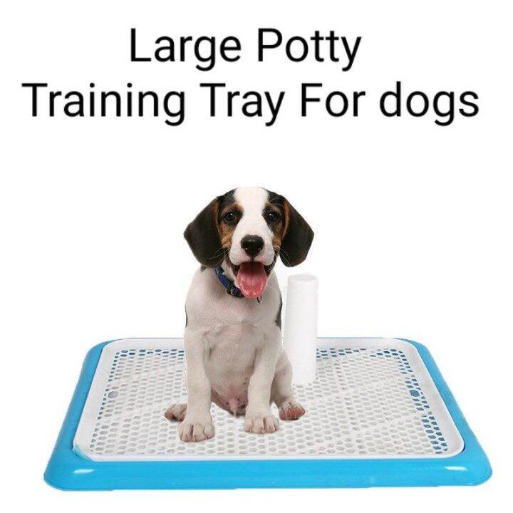 Large Potty Training Tray Pet Dog with Mesh screen and urinating stand♂ Lazada PH
