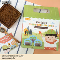 ชุดปลูกต้นอ่อนทานตะวัน :  (Sunflower Sprouts)ผักออร์แกนิค Planty kid ครบจบในกล่องเดียว