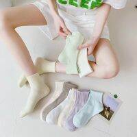 ถุงเท้าผ้าฝ้าย สีแคนดี้ ถุงเท้ายืด สวมใสสบาย Japanese small fresh cotton socks Classic cotton mid-tube socks