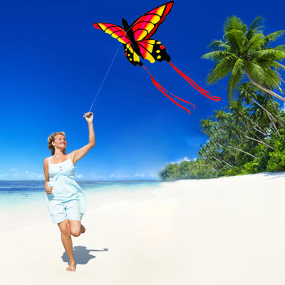 New Butterfly Kite Long Tail Outdoor Sports Flying Kites Children Fun Toys Easy Control Flying Toys for Kids Adult Gifts