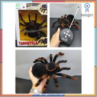 แมงมุมทารันทูล่า (Tarantulas) บังคับด้วยรีโมท เคลื่อนที่ได้เหมือนจริงเดินหน้าถอยหลังมีไฟที่ตา flashsale ลดกระหน่ำ