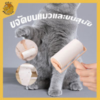 D&amp;C House รีฟิลลูกกลิ้งทำความสะอาด ลูกกลิ้งขจัดฝุ่น สินค้าราคาถูก มีของพร้อมส่ง เก็บขนและฝุ่น ขจัดขนแมวและขนสุนัข