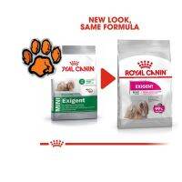 (ส่งฟรี)MinRoyal canin Exigent พันธุ์เล็ก ช่างเลือก เลือกกิน กินยาก อายุ 10 เดือนขึ้นไป ขนาด1กิโลกรัม