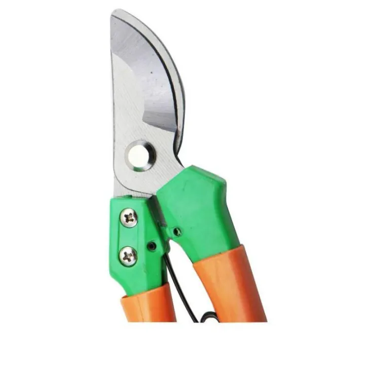 ๑โปรงโมชั่นลดแรง Pruning Shear กรรไกรตัดกิ่งไม้ ปากนกแก้ว เล้มกิ่งไม้