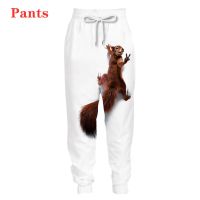 New 3D Printing Squirrel Fashion Men Women Tracksuits Crewneck Hip Hop Pants Plus Size S-7XL Streetwear