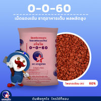 ปุ๋ย0-0-60 ตราดาวลูกโลก