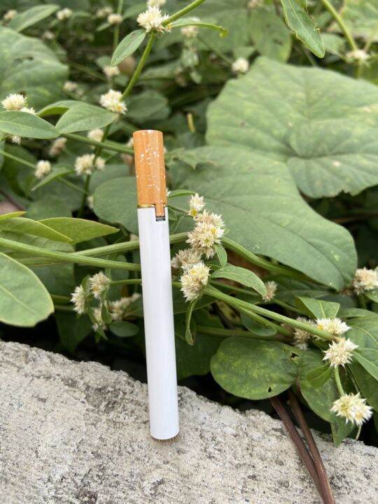 Kimigo Stick Lighter/Cute Unique Design Lighter Slim Pocket Lighter ...