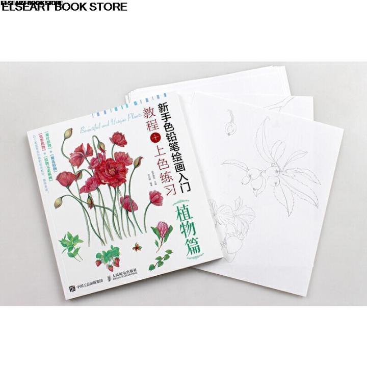 หนังสือวาดภาพพืชสามเณรดินสอสีภาพวาดกวดวิชาระบายสีการออกกำลังกาย