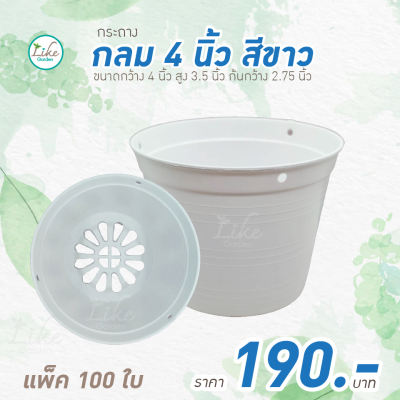 กระถางทรงกลม ขนาด 4 นิ้ว สีขาว แพ็ค 100 ใบ ปลูกต้นไม้ เพาะเมล็ดพันธ์แคคตัส จำหน่ายพันธุ์ไม้