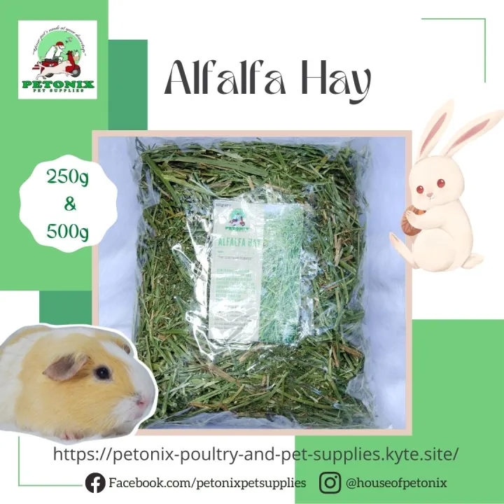 Picture of PETONIX Alfalfa Hay Re-packed Rabbit & Guinea Pig Food 250g / 500g ...