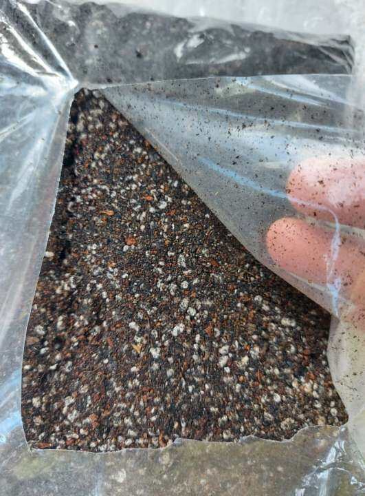 CACTUS AND SUCCULENT SOIL MIX OR POTTING MIX 1 KILO READY TO USE SOIL