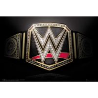 WWE Title Belt Tin Sign