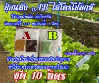 ปุ๋ยแห้ง  A B  ผักสลัด ผักไทยจีน ฯ  ชุดคู่  10  ลิตร