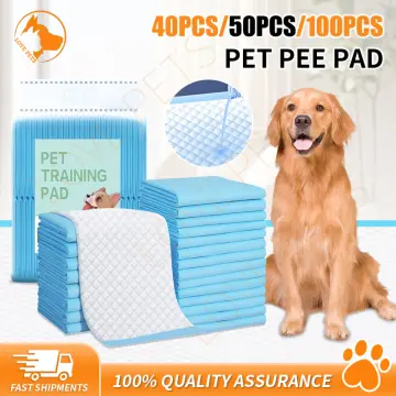 Kirkland dog pee top pads