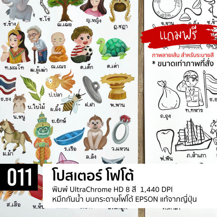 011-กขค-ก-ฮ-ฝึกอ่าน-ขนาดใหญ่-แถมภาพระบายสี-ขนาดเท่ารูปที่สั่ง-ฝึกสมาธิ-ef-เลือกรูปภาพได้หลายวัสดุ