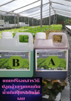 ปุ๋ยไฮโดรโปนิกส์ ปุ๋ยAB ปุ๋ยน้ำ ปุ๋ยผักสลัด สำหรับปลูกผัก Hydroponics ขนาด A1000ML B 1000ML New สูตรใหม่