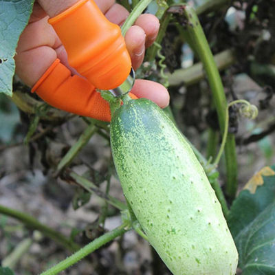 ปลอกนิ้วมือหยิบชุดตัดนิ้วหัวแม่มือตัดแต่งผักเหล็กสแตนเลสสำหรับสีส้มสำหรับสวน