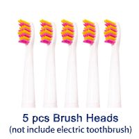 □☌◆ Electric Toothbrush Heads for Fairywill Sonic Toothbrush Replacement Du Pont Head FW-507/508/515/551/917/959/2011/D1/D3/D7/D8