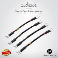 Audience StudioOne Jumper Biwire Red Black