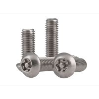 M5 M6 304 Stainless Steel Anti-theft Screw Semi-Circular Head Plum With Needle With Column Core Anti-Theft Screw Bolt 20 Pcs