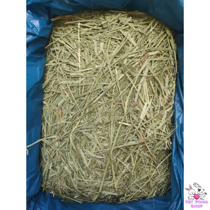 หญ้าทิโมธีแบบฟ่อน-ขนาด-5kg-timothy-hay-5kg