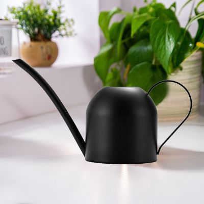 500Ml Indoor Small Watering Can Pot Stainless Steel Gardening Spout Tool Watering Can Indoor Outdoor for Garden Plant