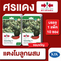 ผักซอง ศรแดง แตงโม จอมขวัญ F1 บรรจุแพ็คล่ะ 10 ซอง ราคา 230 บาท