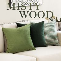 【CW】 pillowcase style light luxury high-end retro living room cushion modern velvet 45x45cm