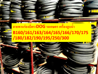 สายพานเกษตรร่องบี ร่องBตราDOG B160/161/163/164/165/166/170/175/180/190/195/250 สายพานเครื่องสูบน้ำร่องบี สายพานรถไถ