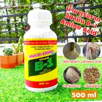 น้ำยาเร่งราก B1 &amp; อะมิโนแอซิด ขนาด 500ml. วิตามินเร่งราก เร่งการงอก แช่เมล็ดพันธุ์ แช่กิ่งตอน ปักชำ