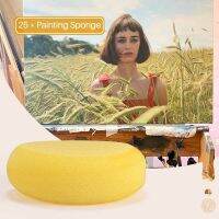 25 Pcs Painting Sponge, Artist Sponge for Watercolor, Crafts, Pottery, Clay, Ceramics, Face Painting &amp; Household Use