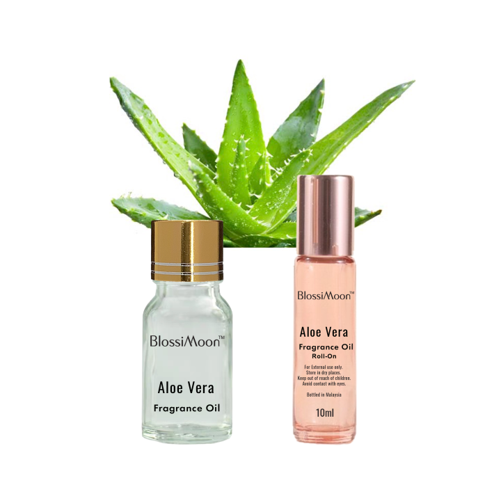 Aloe Vera Fragrance Oil concentrate long lasting smell stable Lazada
