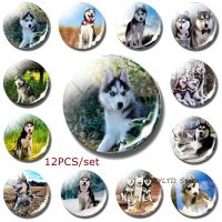 {6shop Department Store} Siberian Husky ตู้เย็นแม่เหล็กหมาป่าแม่เหล็กติดตู้เย็นสุนัข12ชิ้นชุดสติกเกอร์แก้ว Cabochon ตกแต่งสัตว์การตกแต่งบ้าน