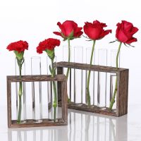 Glass Planter Propagation Station Modern Flower Bud Vase in Wood Stand Rack Tabletop Terrarium for Hydroponics Plants, Home Offi