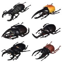 6pcsset Simulation Solid Static Insect Model Ornaments Realistic Beetle Children Educational Props Scene Decoration Kids Toy