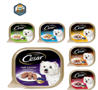 CESAR Dog Food Wet Tray  100g. x 24 Unit ซีซาร์ อาหารสุนัขชนิดเปียก แบบถาด หลายรส 100กรัม 24 ถาด สินค้ามาใหม่ new Exp.