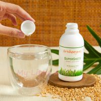 Dr Wheatgrass Supershots