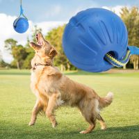 9cm EVA Interactive Resistant Chew Dog Chew Toy Dog Ball Toy Pet for Dog