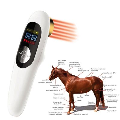 Equipos de fisioterapia terapia lser fra de mano para la artritis del caballo dispositivo de alivio del dolor y cur de heridas