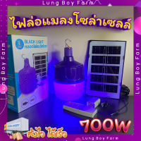 หลอดไฟล่อแมลงโซล่าเซลล์ ? ไฟล่อแมลง หลอดไฟแบล็คไลท์ ไฟLED หลอดไฟ BLACKLIGHT 700W กันน้ำ หลอดไฟตุ้ม พลังงานแสงอาทิตย์ ใช้งานได้ทั้งคืน