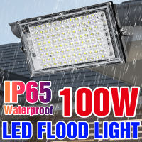 220โวลต์ LED Lampara 100วัตต์น้ำท่วมไฟแสงกลางแจ้ง50วัตต์พลังงานสูงหลอดไฟกันน้ำปอตไลท์โคมไฟถนนโคมไฟติดผนังสำหรับกลางแจ้ง