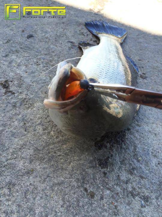 ปลายาง-betta-ตกปลาช่อน-แบบซองสุดคุ้ม-มีหัวจิ๊กในซอง