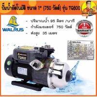 ( PRO+++ ) โปรแน่น.. ส่ง!!! WALRUS ปั๊มน้ำอัตโนมัติ TQ800 ปั๊มน้ำ TQ-800 ปั้มน้ำอัตโนมัติ ปั้มน้ำ ปั้มอัตโนมัติ ปั๊มอัตโนมัติ ปั้มออโต้ ราคาสุดคุ้ม ปั้ ม น้ำ ปั๊ม หอยโข่ง ปั้ ม น้ํา โซ ล่า เซล เครื่อง ปั๊ม น้ำ อัตโนมัติ