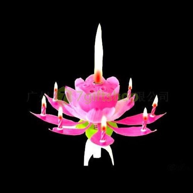 Nến hoa sen nhật  Nến Tôn giáo Quang Minh Candle