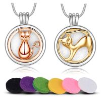 Eudora Aromatherapy Necklace round Opened Perfume Locket cage Oils Diffuser Pendant Jewelry