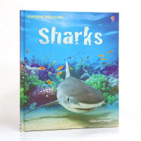 Usborne Original English Discovery: ชุดShark Discovery