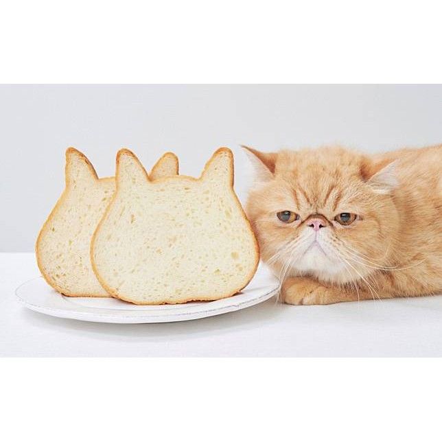 พิมพ์ขนมปังแมว-พิมพ์เทฟล่อน-cats-head-toast-mould-l-ขนมปังรูปหน้าแมว