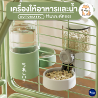 Royalty Pets เครื่องให้อาหารและน้ำอัตโนมัติ Premium ติดกรง ที่ใส่อาหารแบบแขวน ชามอาหารแบบแขวน สัตว์เลี้ยงสุนัขหมาแมว RY195